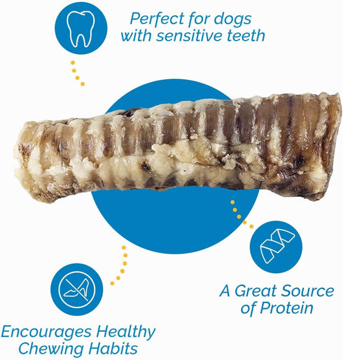 6" Trachea for Dogs - 10 Pack, 100% Natural Beef