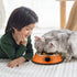 6 Pcs Cat Bowls for Food and Water, Stainless Steel PET Dishes 7 oz with Anti Slip Rubber Base for Indoor Pets
