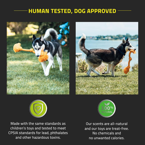 Playology Dri Tech Rope Dog Chew Toy for Medium Breeds (15-35lbs), All-Natural Cheddar Cheese Scented