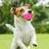 16 Pack Squeaky Dog Balls - 2.5'' Spiky TPR Rubber Balls for Teething, Interactive Fetch Toys for Small and Medium Dogs