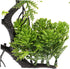 Decor Bonsai Tree Fake Tree Model for Fish Tank Fake Fish Tank Tree Fish Tank Supplies Fish Tank Tree Model Fish Tank Accessories Aquatic Tree Porch Plastic Aquarium by CIYODO