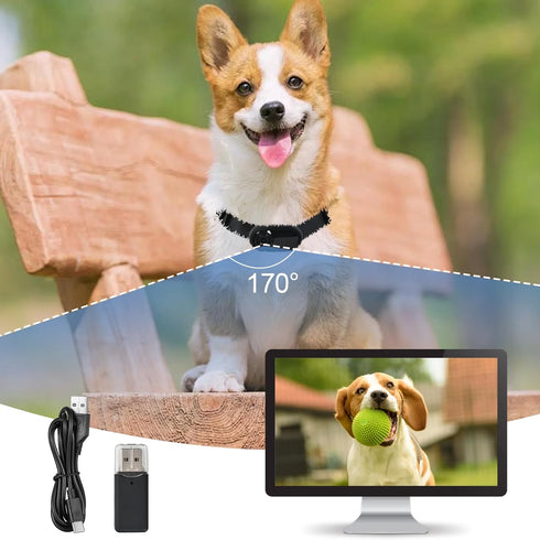 1080p HD Cat Dog Pet Camera Collar with Video Recording Sports Camera Baby Monitor No WiFi Indoor/Outdoor All