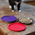 Messy Cats Stainless Steel Saucer Shaped Bowl - Fits Messy Cats Silicone Bowl Holders and Lids (Sold Separately)