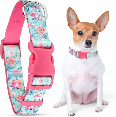 Parisian Pet Dog Collar - Adjustable “Spring Blossoms” Pattern Pink Buckle Safety Collar for Small Dogs - Breathable