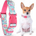 Parisian Pet Dog Collar - Adjustable “Spring Blossoms” Pattern Pink Buckle Safety Collar for Small Dogs - Breathable