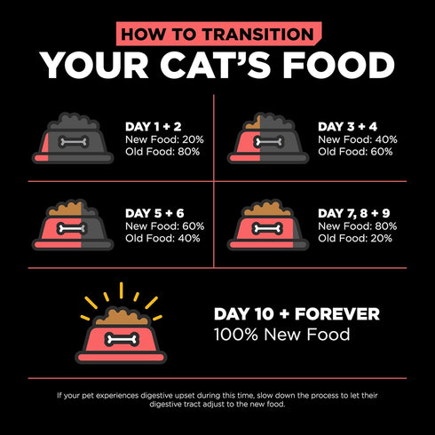 Go! Solutions Carnivore Protein Rich Dry Cat Food, Grain Free Salmon & Cod Recipe, 8lbs