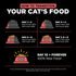 Go! Solutions Carnivore Protein Rich Dry Cat Food, Grain Free Salmon & Cod Recipe, 8lbs