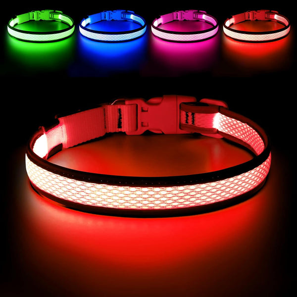 LED Dog Collar, USB Rechargeable Light Up Safety Collar for Small, Medium, Large Dogs (Large, Ruby Red)