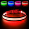 LED Dog Collar, USB Rechargeable Light Up Safety Collar for Small, Medium, Large Dogs (Large, Ruby Red)