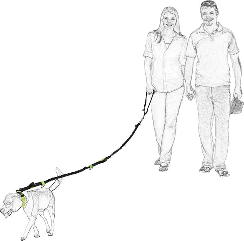 Mile High Life Retractable Hands Free Dog 7FT Leash, Adjustable Waist Running Leash for Small Medium Large Dogs (Blue)