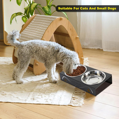 Elevated Cat Bowls, 5° Tilted Raised Metal Bowl with 2 Thick Stainless Steel 13.5 oz Bowls