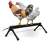 K&H Pet Products Thermo Heated Chicken Perch for Coop, Warming Chicken Heater,