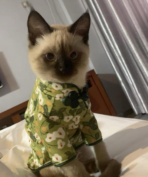 Traditional Culture Sphynx Hairless Cat Cotton T-Shirts, Pet Sweater Vest for Cats & Small Dogs (White Petunia Chi-Pao,