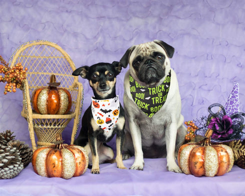 2 Pack Halloween Dog Bandana, Cat Holiday Bibs Scarf Accessories for Small Medium Large Dogs and Cats
