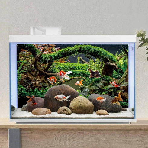 AWERT 48x24 inches Aquarium Background, Branches Terrarium Background for Fish Tank, Aquatic Plant River Bed & Lake