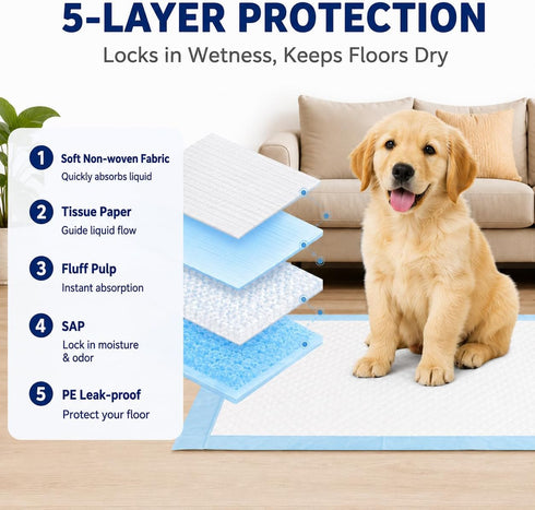 5-Layer (Regular22*22, Count, 40) Dog Padswith Adhesive BackingFixed, Leak-Proof Super Absorbent, Quick-Dry Surface
