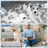 1 Mifoci Pcs Dog Pee Pad Holder Potty Tray Portable Dog Litter Box Toilet Training for Small Medium Large Pet Puppy