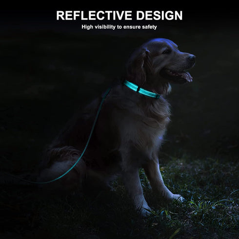 Durable Reflective Dog Collar and Leash Set, Soft Neoprene Padded Collar with 5ft Strong Leash for Medium Large Dogs