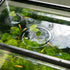RRUAAZIW 12PCS 2 Creative Floating Floral Arrangement Holder,Floating Flower Display Stand Include Fish Tank Shelf DIY