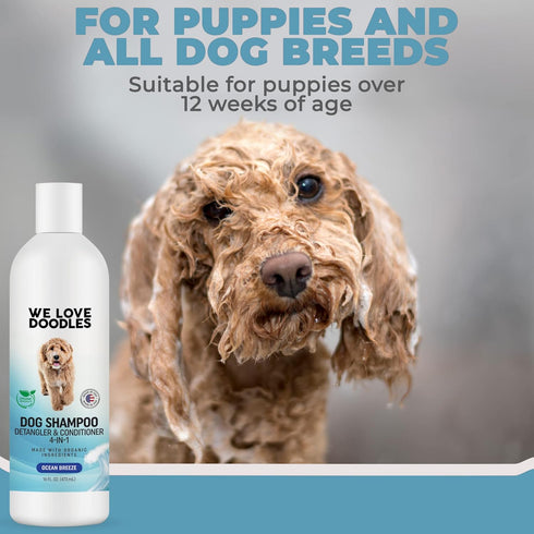 USDA Organic Dog Shampoo, Conditioner & Detangler - Best for Goldendoodles, Poodles, Sensitive Skin, 16OZ