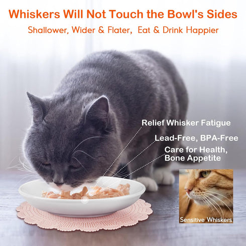 2024 NEW Anti Whisker Fatigue Cat Bowls Set, Healthy Ceramic Flat Cat Food Bowl for Indoor Cats