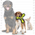 TUFFY Ultimate Boomerang Dog Toy - World's Tuffest Soft Toy with Squeakers - Durable, Strong & Tough (Junior, Yellow
