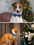 Dog Collar with Bow Tie, Cotton Bowtie Collar for X-Large Girl Boy Dog, Holiday Blue, Neck 16-26in.