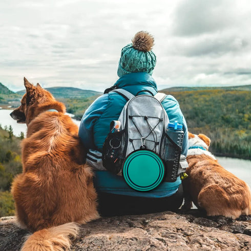 Collapsible Dog Bowls - 2 Pack Large Size for Dogs, Portable Water Bowl for Outdoor Hiking & Traveling