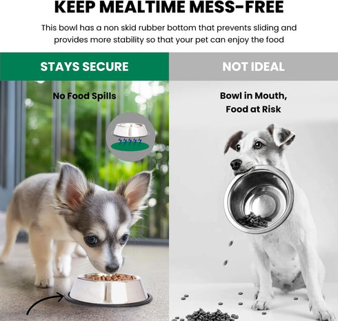Iconic Pet Stainless Steel Non-Skid Pet Bowl, Rust Free and Odor Resistant for Dogs and Cats