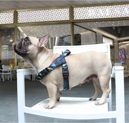 iChoue French Bulldog Harness - Adjustable Padded Locked Buckle with Handle for Frenchie, Pug, English, Boston Terrier
