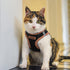 Best Pet Supplies No Pull Harness, Reflective, All Weather Mesh for Small, Medium Dogs, Cats - XS, Orange Trim