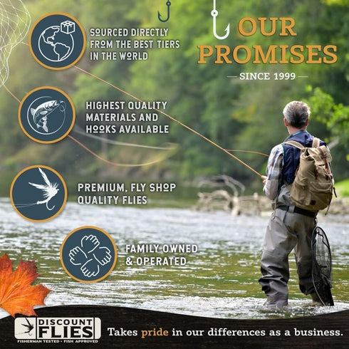 Terrestrial Dry Fly Fishing Kit - Fishing Gear with Fly Box & 12 Dry Flies for Trout