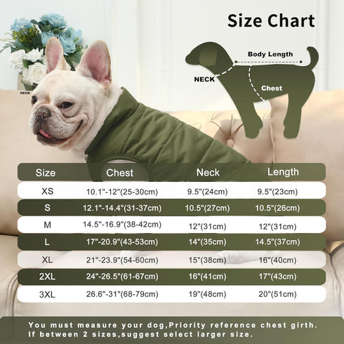 2 Layers Fleece Lined Dog Jacket, Warm Winter Coat for Medium Dogs, Soft Windproof, Green, Size L