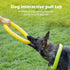 XL Large Indestructible Dog Toys, Chew Toys for Aggressive Chewers, 12 Inch Flying Discs for Medium/Large Breeds