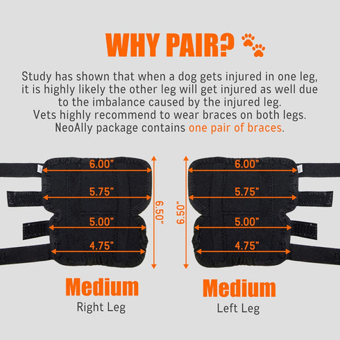 NeoAlly Rear Leg Hock Brace for Large Dogs, Metal Spring Strips for Hock & Ankle Support, Medium Size