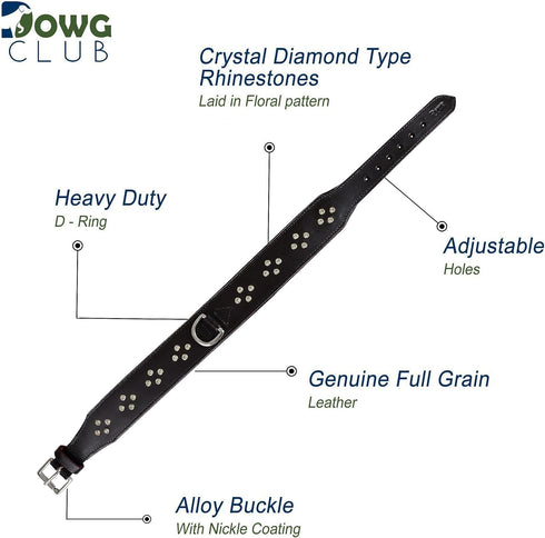 Genuine Leather ‘Cupola’ Series Dog Collar, Rhinestone, Soft Cushion Padding, Handmade (M, Neck Size 14.5"-18.5",