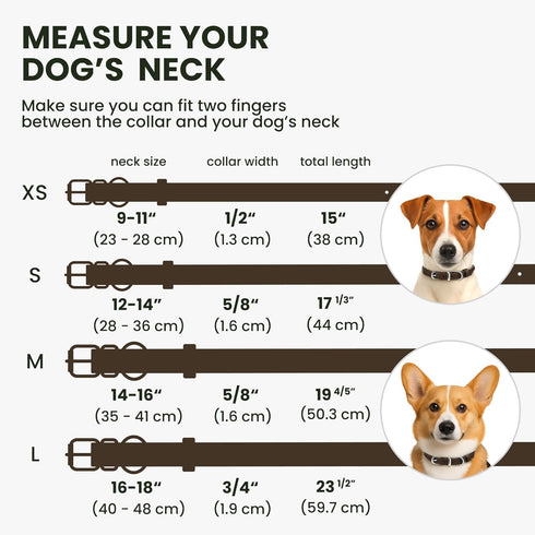 BRONZEDOG Coffee Brown Rolled Leather Dog Collar with QR ID Tag for Small Medium Large Dogs (L: 16-18 Inch)