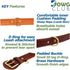 Genuine Leather Dog Collar - Full Grain, Heavy Duty, Comfortable, Padded for Pups, Small, Medium, Large & XL Breeds