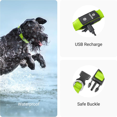 Tractive LED Light Up Dog Collar, USB Rechargeable Waterproof for Large Dogs (Green)