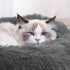 MoNiBloom 24"x24"x10.5" Dog Beds for Small Dogs, Machine-Washable Long Plush Cozy Soft Bed for Dogs and Cats