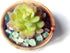 Aquarium Gravel, 0.44lb Fluorite Decorative Rocks, Crystal Chips for Crafts, Vases, and Aquarium Filler