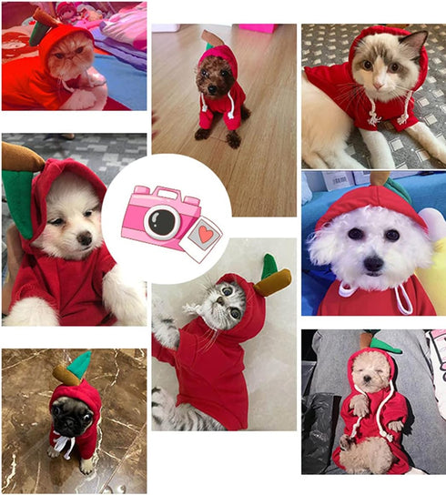 XIAOYU Apple Pet Clothes, Christmas Dog Fruit Hoodie, Fleece Sweater for Halloween Cosplay Party - Size S