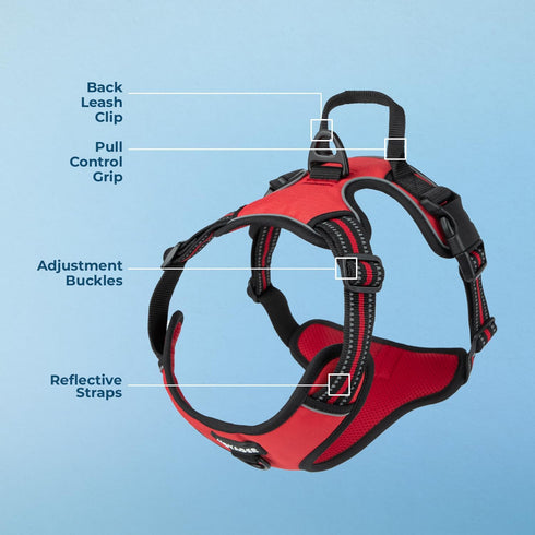 Voyager No Pull Dog Harness for Large Dogs - Adjustable Soft but Strong Pet Harness with Dual Leash Attachments, Red