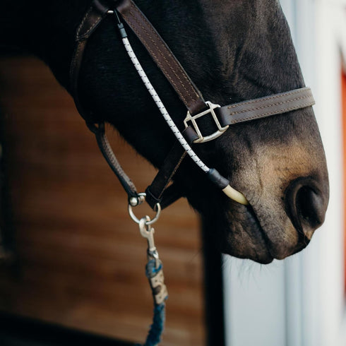 Thinline Busy Buddy - Equestrian Tack Accessories Durable Versatile Easy to Use Universal Horse Calming Pacifier