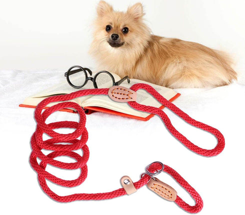 POPETPOP Nylon Dog Slip Training Leash Collar Rope for Pets, Red