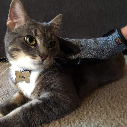 Otis and Claude Pet Grooming Gloves - Adjustable Strap, Gentle Hair Remover, Bathing, Massage Brush for Cats and Dogs