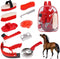 Horse Grooming Kit, Horse Brushes for Grooming 10pcs Horse Cleaning Tool Set