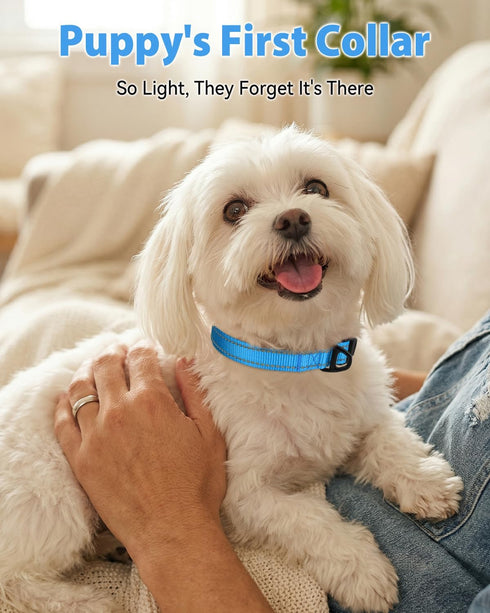 (5/8" Joytale Dog Collars for Small Dogs, Feather-Light Double-Sided Reflective Nylon Collar for Night Safety