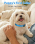 (5/8" Joytale Dog Collars for Small Dogs, Feather-Light Double-Sided Reflective Nylon Collar for Night Safety