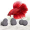 SunGrow Betta Balls, Water Conditioner with Beneficial Elements for Tropical Fish, 10 Pcs per Pack